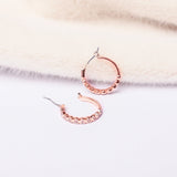 Full Circle Rose Gold Earrings