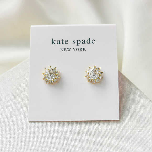 Sunny Stone Halo Clear Stud Earrings