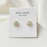 Sunny Stone Halo Clear Stud Earrings