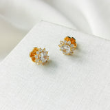 Sunny Stone Halo Clear Stud Earrings