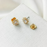 Sunny Stone Halo Clear Stud Earrings