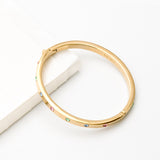 Set In Stone Hinged Bangle (Gold/Multi)