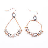 ALEXIS BITTAR Eye-catching Clear Crystals Rose Gold Earrings